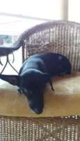 Negão , Belinha 