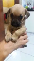 Negão , Belinha 