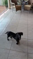 Negão , Belinha 