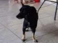 Negão , Belinha 