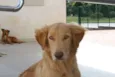 Aslan