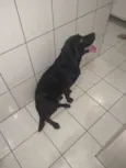 Erus