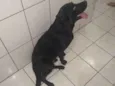 Erus
