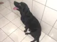 Erus