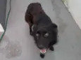 Bruce