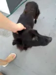 Bruce