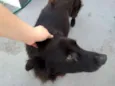 Bruce