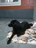 Bruce