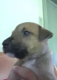 sem nome ainda