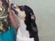 Marley