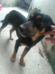 BILLY