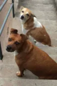 nina&pandora