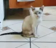 Mel
