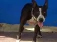 Lupita