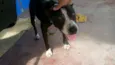 Lupita