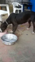 Lupita
