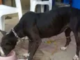 Lupita