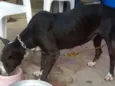 Lupita