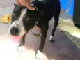 Lupita