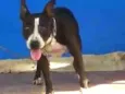 Lupita