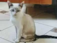 Mel