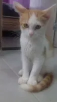 Fifi,Duda e Ângela 