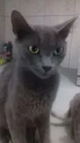 Fifi,Duda e Ângela 