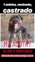 DINHOzinho!