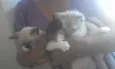 Não tem ainda
