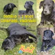 DAMIÃO!
