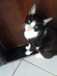 nao tem nome
