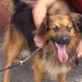 Toto 