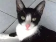 nao tem nome