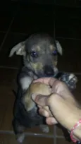 Princesa