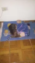 Princesa