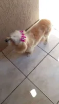 mel