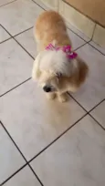 mel