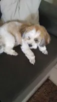 Penelope