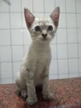 Zoe