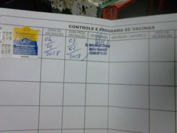 Cachorro ra a SRD idade 2 a 6 meses nome Sem.nome