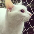 Marie