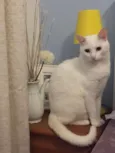 Marie