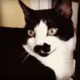 Nina