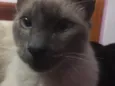 Brian