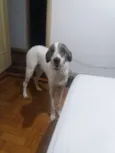 Théo 