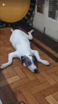 Théo 