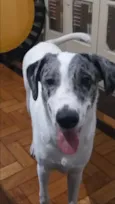 Théo 