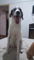 Théo 