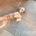 Nina