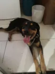 Dom